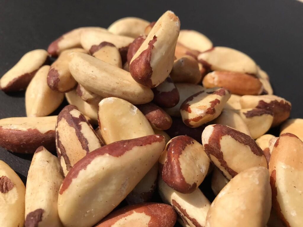 Brazil Nuts Wholesale. Order Brazil nuts in bulk at competitive price. We are number one in the Bulk sales of Brazil Nuts online.