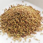 Alfalfa Seeds Wholesale