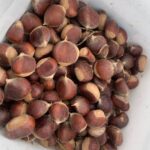 Chestnuts Wholesale, Chestnuts with shell for sale