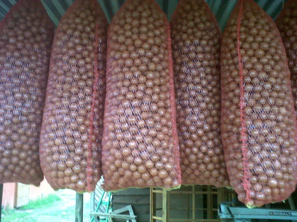 Macadamia Nuts Wholesale near me