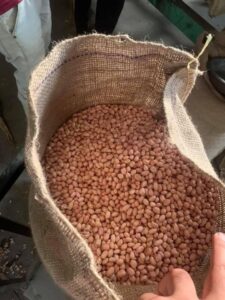 Peanuts Wholesale. We have quality peanuts for sale, Cheap peanuts wholesale. Order peanuts in bulk now. Worldwide shipping of peanuts.