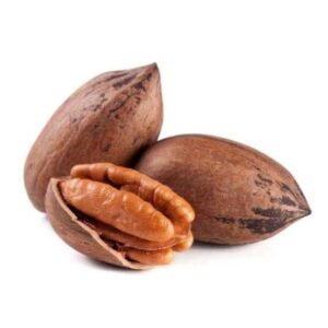 Pecan Nuts Wholesale