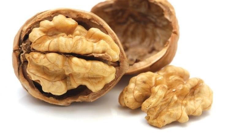 Walnuts Wholesale. Supplier of quality Walnuts. Looking for where to buy Walnuts online? Oder walnuts without shell. Bulk delivery of Walnuts.