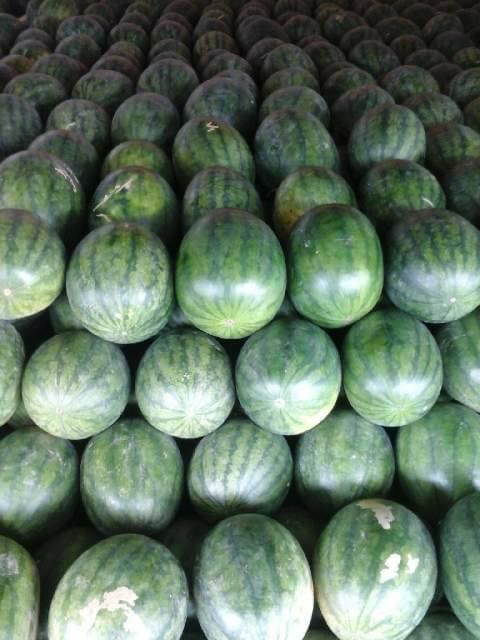 Black watermelon seeds for sale online.