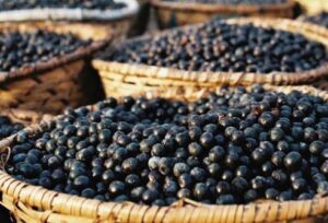 manufacturer dried acai berries.