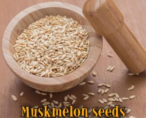 Looking for raw Muskmelon seeds for sale? We are constant supplier of peeled musk melon seeds (Kharbuja Magaj / Thaikumbalam seeds available)