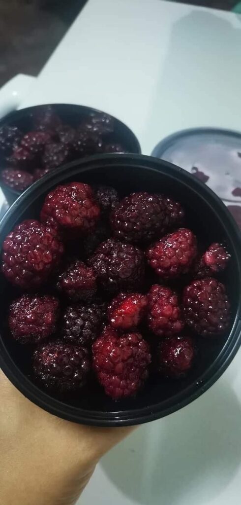 Dried Blackberry Fruit for sale online