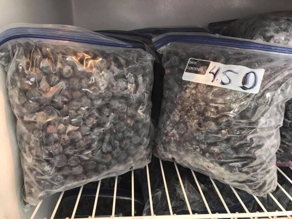 Purchase frozen and dried blueberry