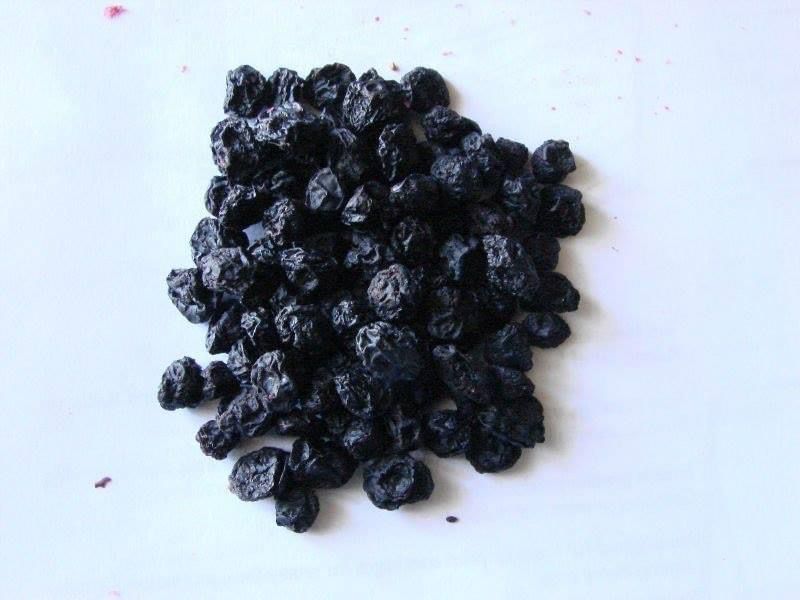 Dried Blueberry Fruit Wholesale
