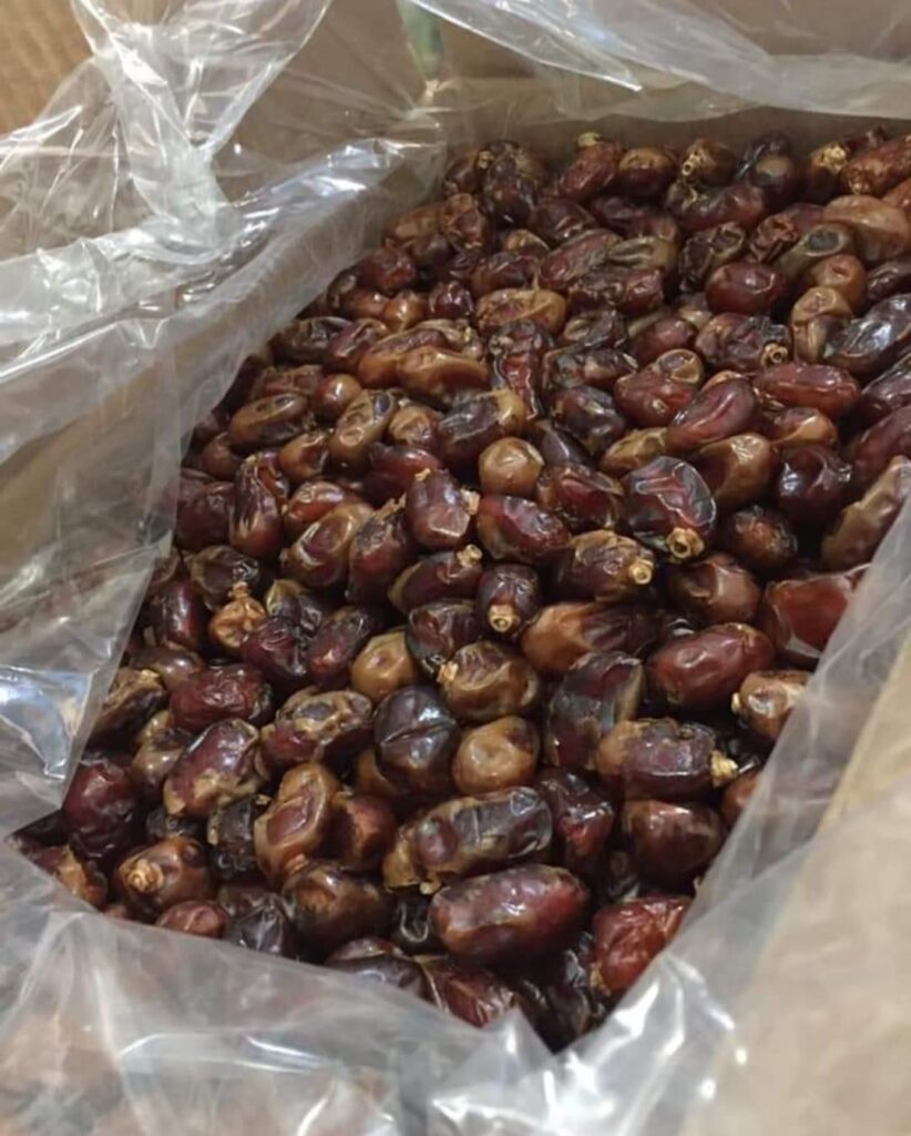 Worldwide delivery of dehydrated dates