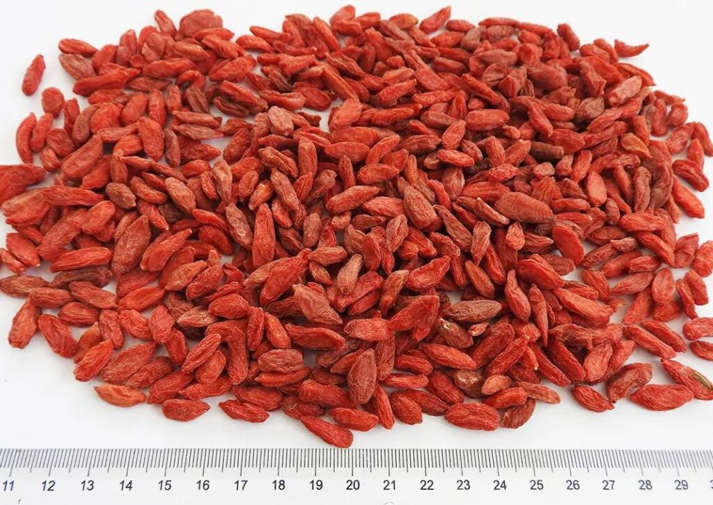 Worldwide delivery of dried goji berries